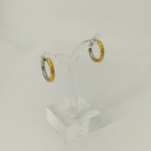 Anne 03 0015 Bicolor Voorkant gehamerd Bicolor